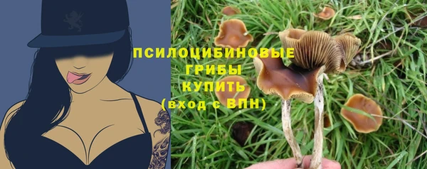 a pvp Балахна