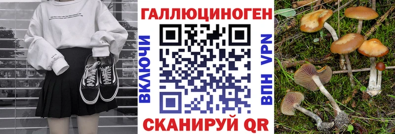 shop состав  купить  цена  Петровск  Галлюциногенные грибы прущие грибы 